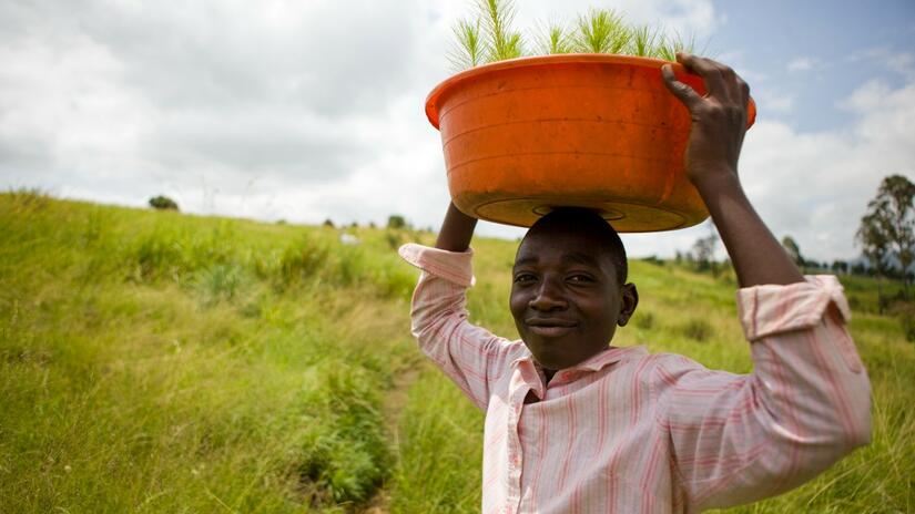 WWF’s Climate Campaign: A Global Call for Nature
